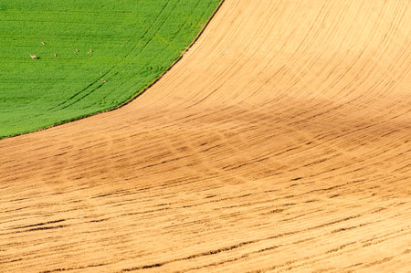 green hills in moraviaの写真素材