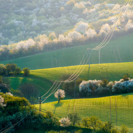 green hills in moraviaの写真素材