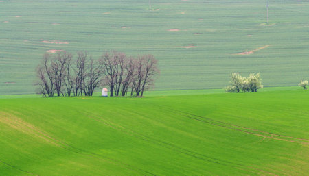 green hills in moraviaの写真素材