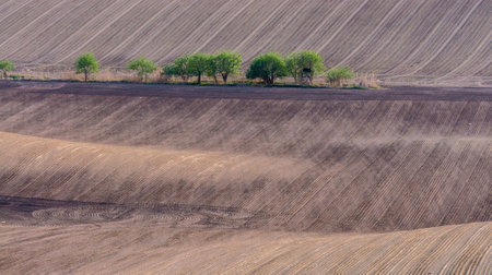 plowed fields and green treesの写真素材