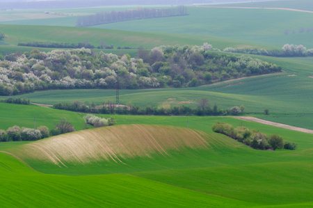 green hills in moraviaの写真素材