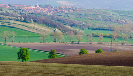plowed fields and green hills in moraviaの写真素材