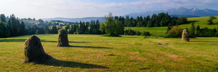 Haystacks on a on a mowed meadow. Haymaking in Podhale.の写真素材