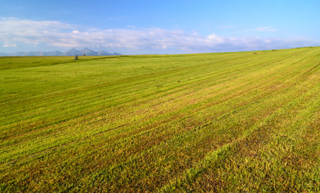 picturesque meadow, in the distance you can see the peaks of the Tatra Mountainsの写真素材