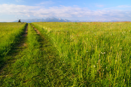 a picturesque dirt road through a meadow, in the distance you can see the peaks of the Tatra Mountainsの写真素材