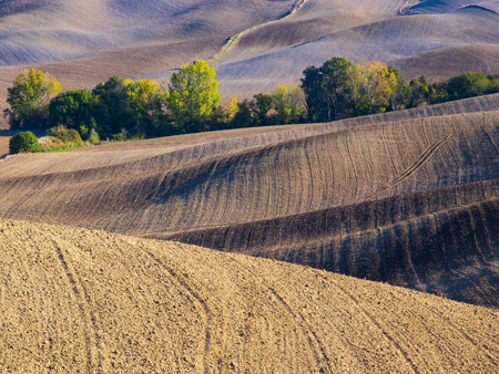 ural landscape. Tuscany in the light of the setting sun.の写真素材
