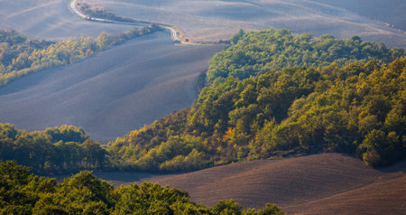 rural landscape. Tuscany in the light of the setting sun.の写真素材
