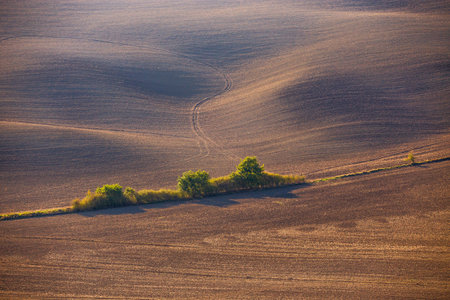rural landscape. Tuscany in the light of the setting sun.の写真素材