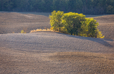 ural landscape. Tuscany in the light of the setting sun.の写真素材