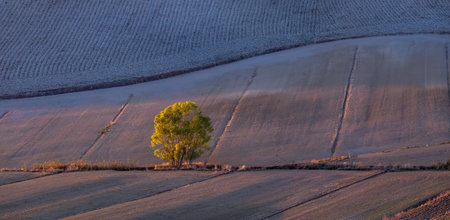rural landscape. Tuscany in the light of the setting sun.の写真素材