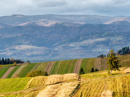autumn rural landscape with fields and pastures in the Carpathian mountains. Pieniny. Polandの写真素材