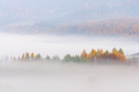 Misty morning in the autumn forest. Landscape with fog. Pieniny. Polandの写真素材