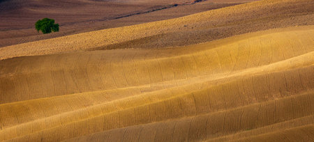 Rolling farmland in Tuscany. Beautiful light of the setting sun.の写真素材