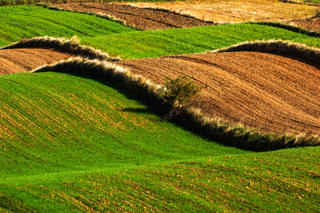 Rural landscape with plowed agricultural field in a sunny day.の写真素材