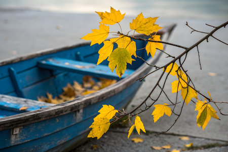 Old wooden boat with yellow leaves on the lake shore, autumn timeの素材