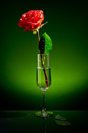 glass and a rose on a green backgroundの写真素材