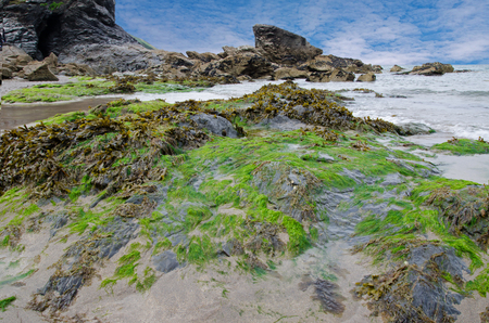 Lundy Bay, cornwall, UKの写真素材