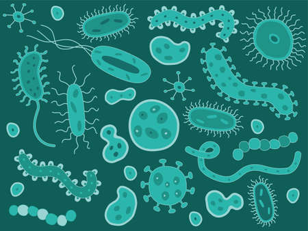 Hand Drawn Bacteria / Germsのイラスト素材