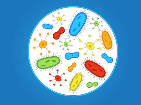 A Colorful Circle of Germs / Bacteriaのイラスト素材