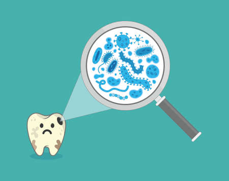 Tooth with magnifying glassのイラスト素材