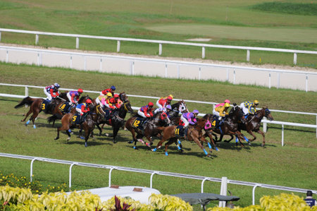 Sport on Horse Racing Competition
