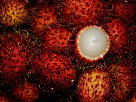 The Red Rambutan Fruitの写真素材