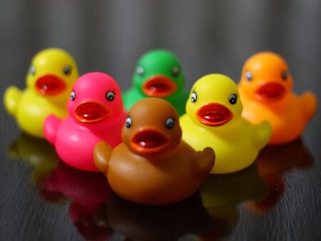 The Rubber Cute Ducksの写真素材