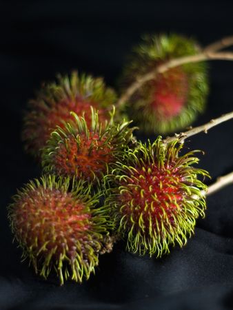 Red Rambutan Fruitの写真素材