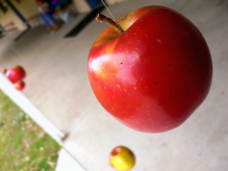 Sky Appleの写真素材