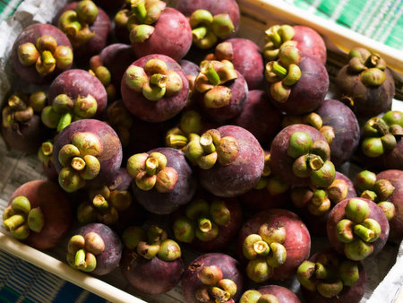 Full of Mangosteensの写真素材