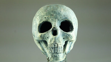 anti-tobacco advertisingの写真素材