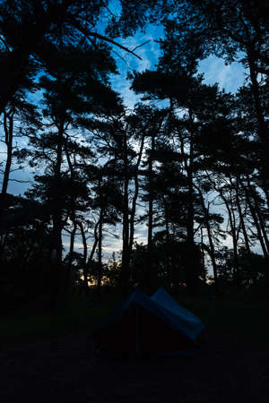 tnet stand alone in the woodの写真素材