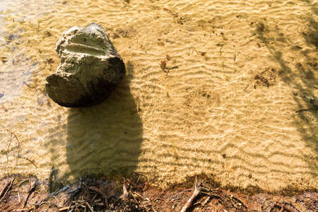 beach at the forest with a stone in a table top photoの写真素材