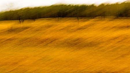 stages at the edge of the forest in motion blurの写真素材