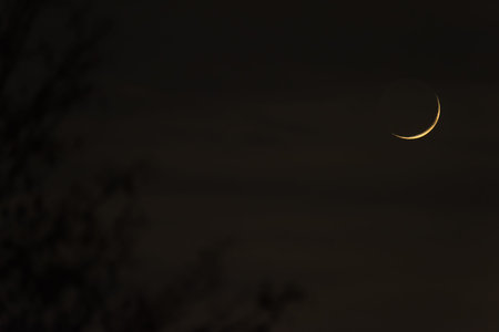 The bright crescent moon in a deep black night with branches
