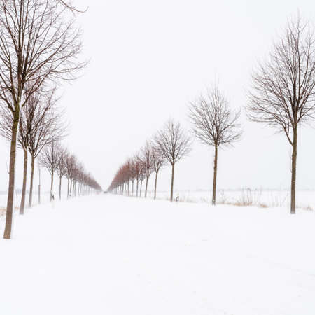 A heavy snowstorm on the road on a cold winter dayの写真素材
