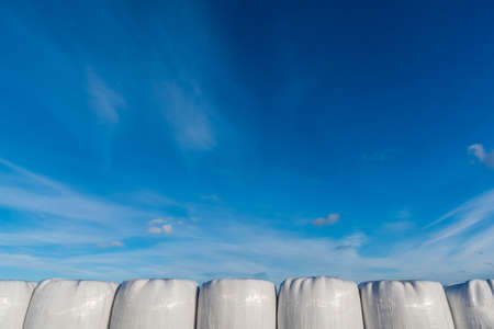A row of silages in front of blue skyの写真素材