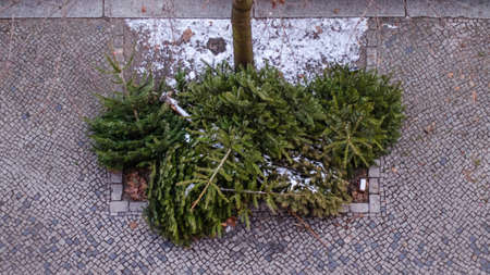 A pile of thrown away Christmas trees on the footpath in berlinの写真素材