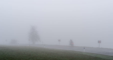 A cyclist drives in the fog over the country road with poor visibility