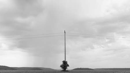 The shrub grows in front of the electricity pylonの写真素材