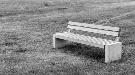 Gray bench stands alone in a meadow