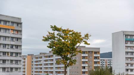 Block apartments in gloomy weather and a single tree in autumnの写真素材