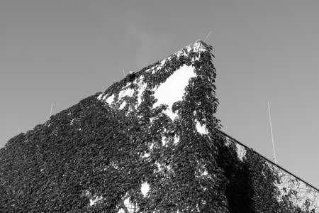 Roof top of a modern concrete houseの写真素材
