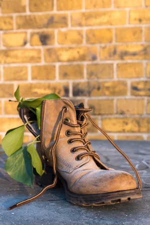 A boot at frosty temperatures with green leavesの写真素材