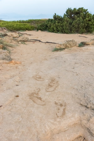 Footprints in the sand of a nature reserve on Majorca, spainの写真素材