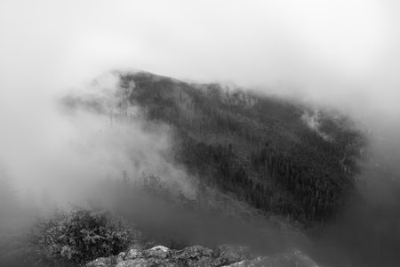 A forested mountain in the Tatra Mountains in foggy weatherの写真素材