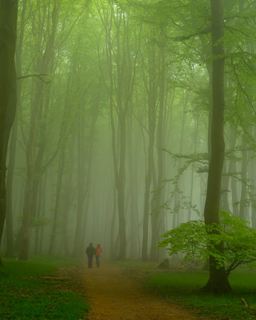 Hiking in the Jasmund national park on the island of Ruegen, Germanyの写真素材