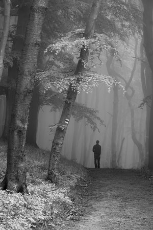 Walking in the fog in Jasmund on the island of Ruegen, Germanyの写真素材