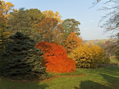 This is a shot of some vibrant fall colors at a park in New Jersey.の写真素材