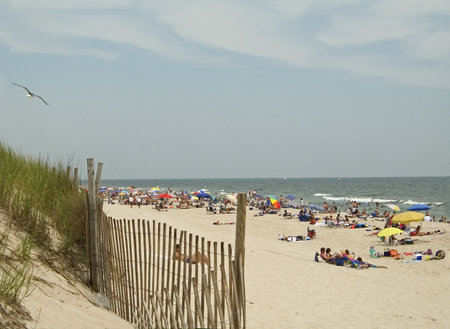 This is a shot taken on a beautiful beach day at Island Beach State Park along the Jersey shore.